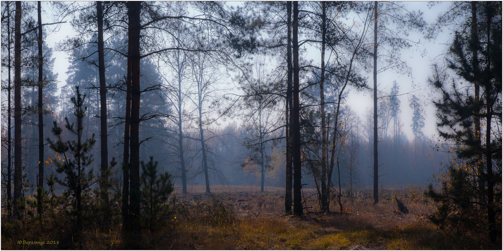 Фотографія Осінній лісок... / Юрій Веремчук (YurijV) / photographers.ua