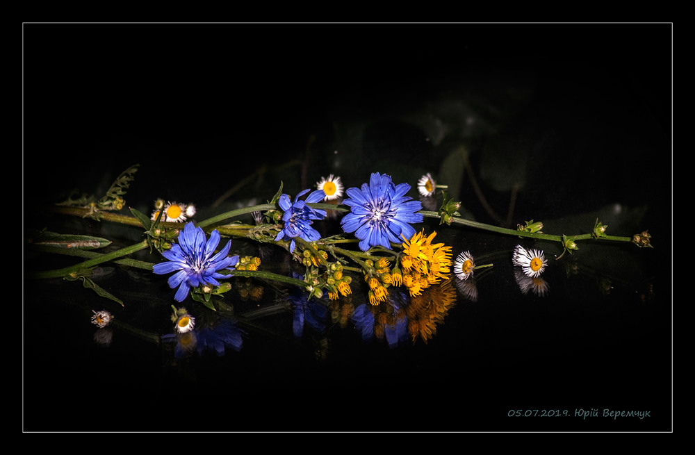 Фотографія Веселої п'ятниці! / Юрій Веремчук (YurijV) / photographers.ua