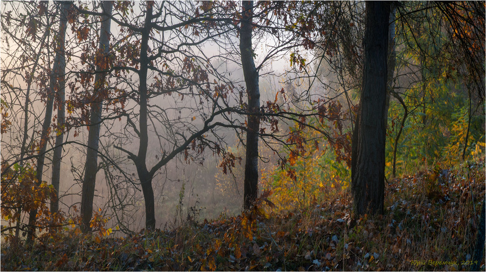 Фотографія Осінь в тумані. / Юрій Веремчук (YurijV) / photographers.ua