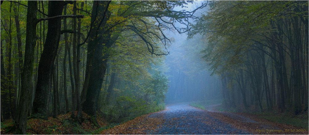Фотография Я чую шелест опадаючого листя у ранковому тумані / Юрій Веремчук (YurijV) / photographers.ua
