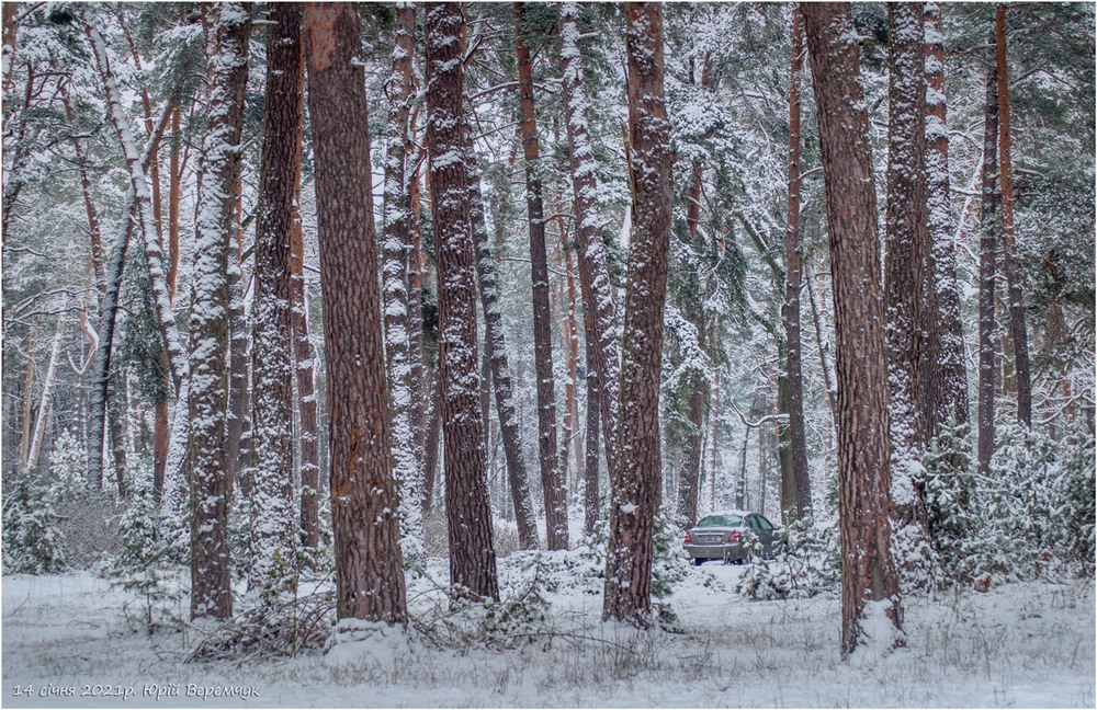 Фотографія Загублена в снігах... / Юрій Веремчук (YurijV) / photographers.ua
