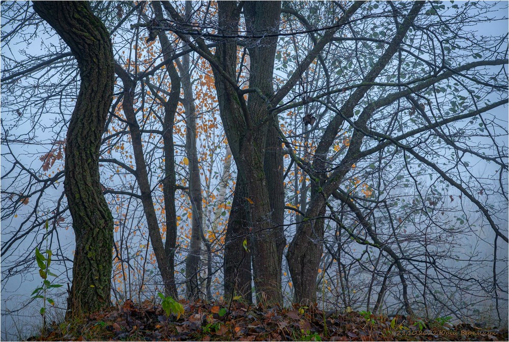 Фотографія На високому березі Горині / Юрій Веремчук (YurijV) / photographers.ua