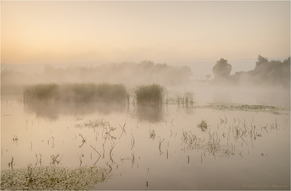 Фотографія Рожевий ранок / Юрій Веремчук (YurijV) / photographers.ua