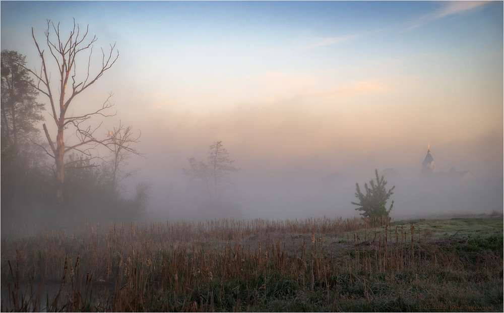 Фотографія Травневий ранок на Поліссі. / Юрій Веремчук (YurijV) / photographers.ua