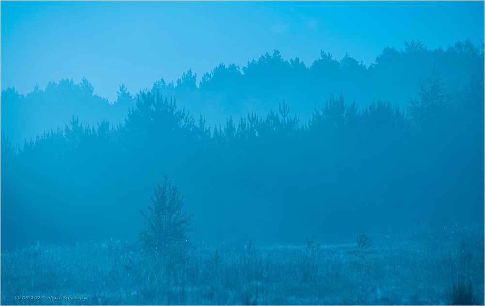 Фотографія Ранкова... / Юрій Веремчук (YurijV) / photographers.ua