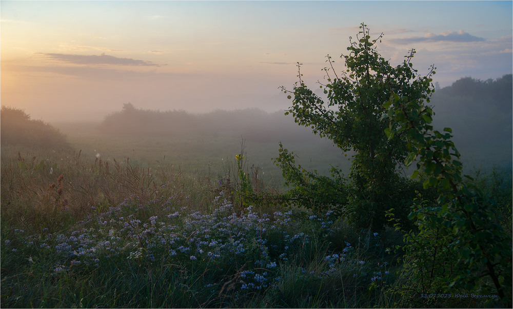 Фотографія Кольори липневого ранку. / Юрій Веремчук (YurijV) / photographers.ua