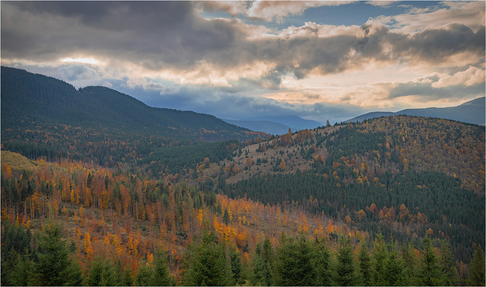 Фотографія "Заджарджавіли" Карпати. / Юрій Веремчук (YurijV) / photographers.ua
