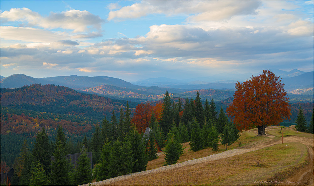 Фотографія Карпатська Осінь. / Юрій Веремчук (YurijV) / photographers.ua