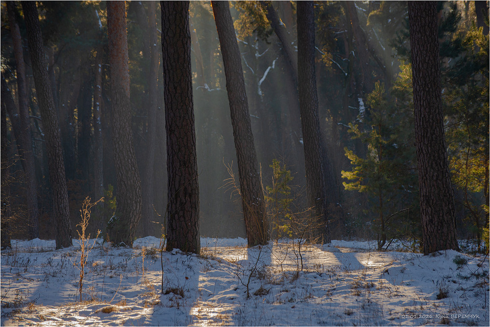 Фотографія Новий 2026 рік / Юрій Веремчук (YurijV) / photographers.ua