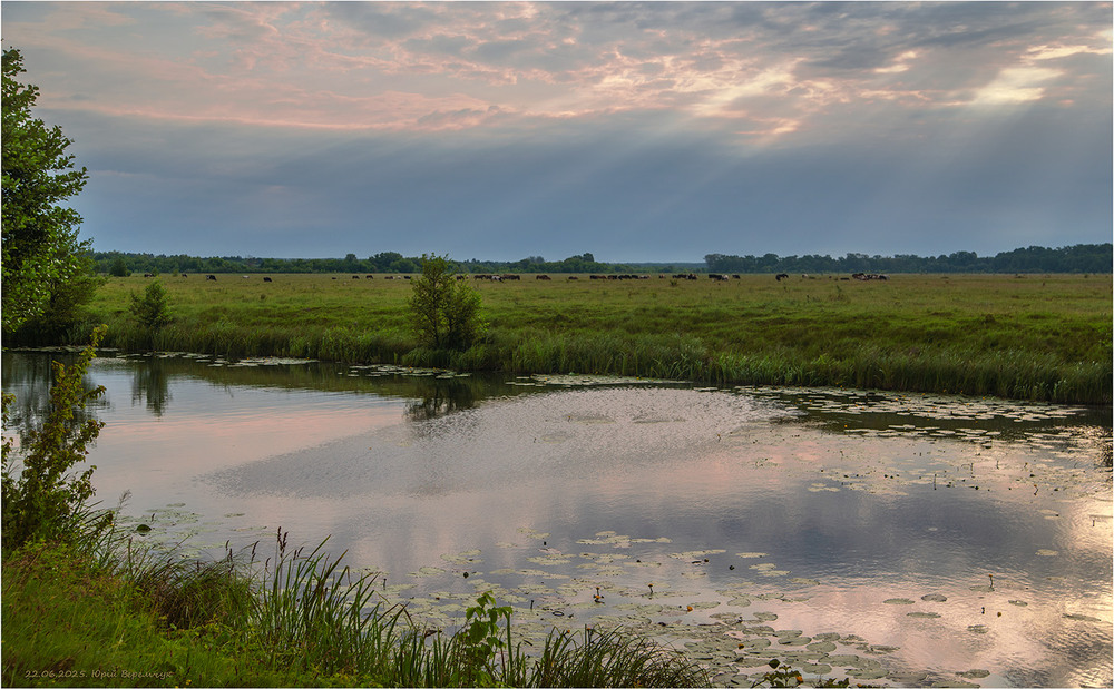 Фотографія Ранок найдовшого дня 2025 року. / Юрій Веремчук (YurijV) / photographers.ua