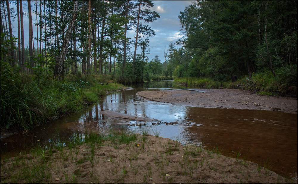 Фотографія Бурштинове Полісся... / Юрій Веремчук (YurijV) / photographers.ua