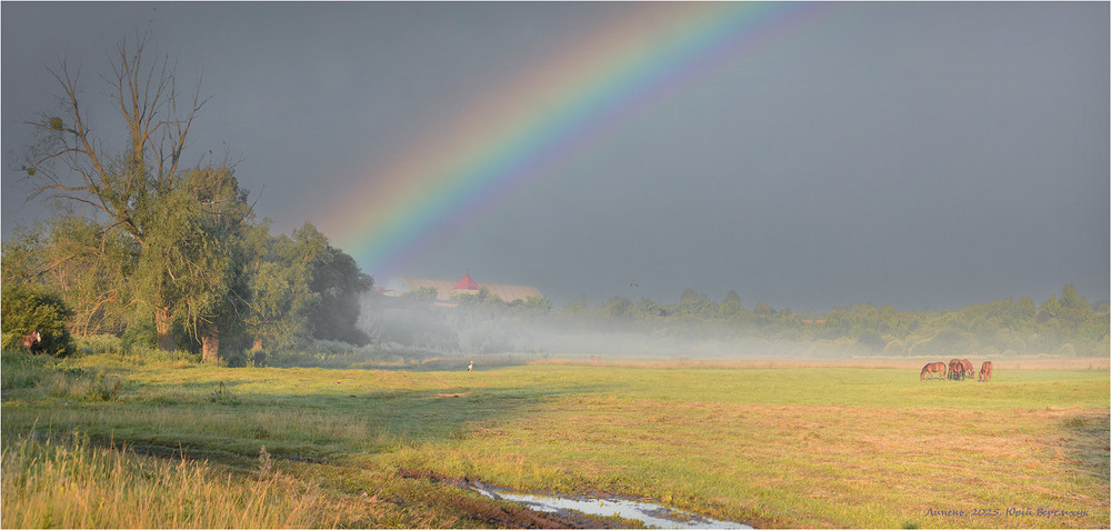 Фотографія Липнева фантазія / Юрій Веремчук (YurijV) / photographers.ua