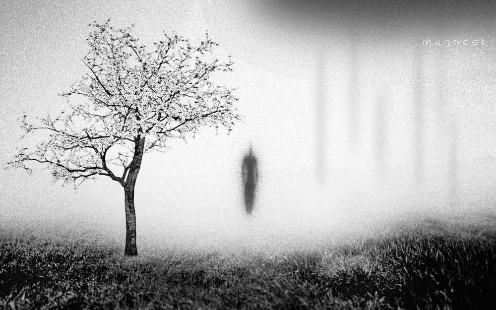 Фотографія Твое одиночество - твой личный страх.... / Сергей Харчук / photographers.ua