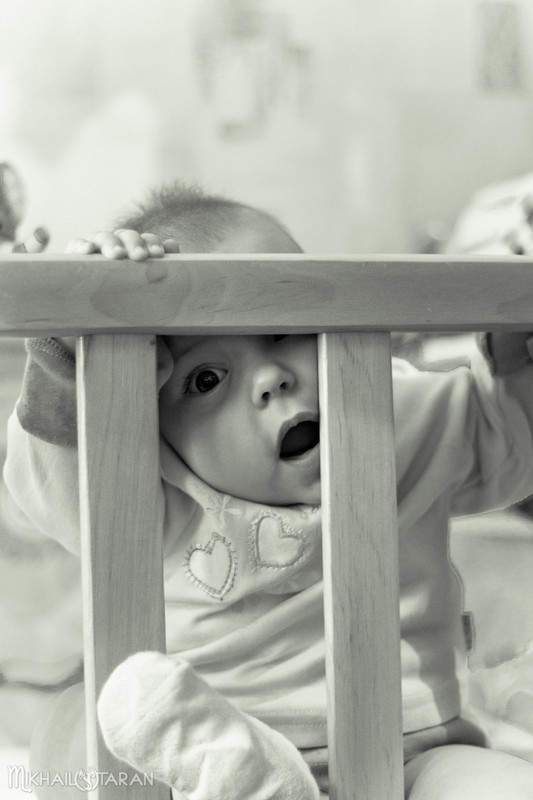 Фотографія Свободу малышам!!! / Mikhail Taran / photographers.ua