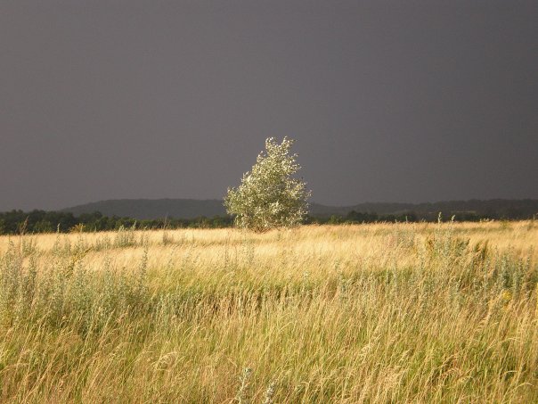 Фотографія перед дождём / Alenka Solo / photographers.ua