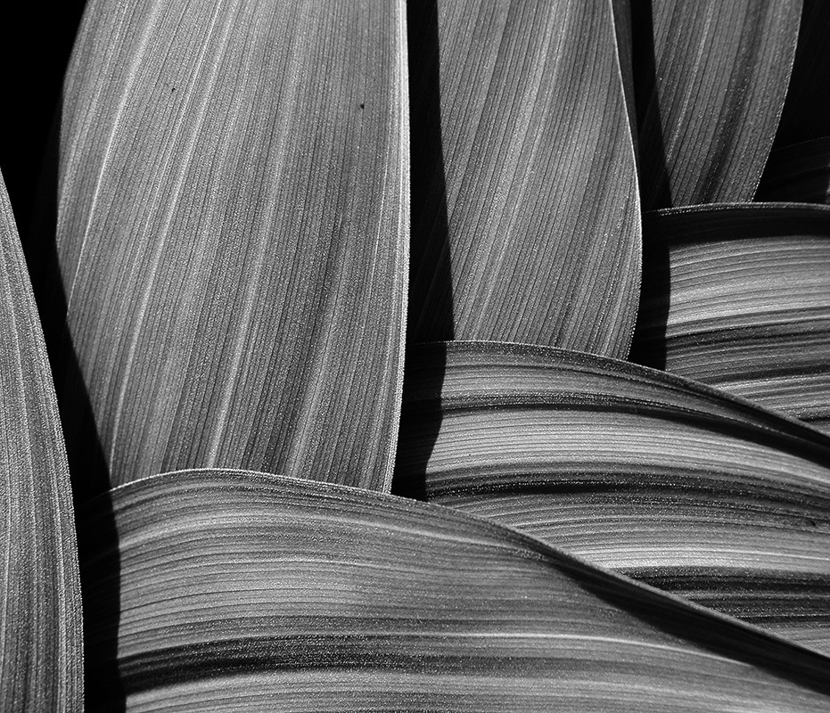 Фотографія *** / Evgeniy Nikitin / photographers.ua