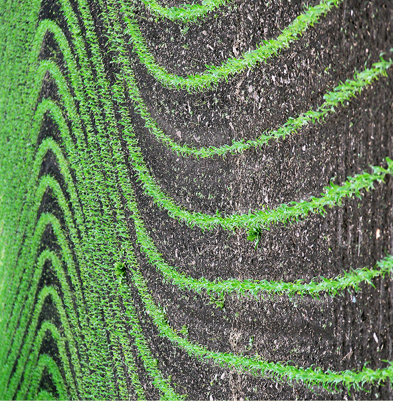 Фотографія *** / Evgeniy Nikitin / photographers.ua