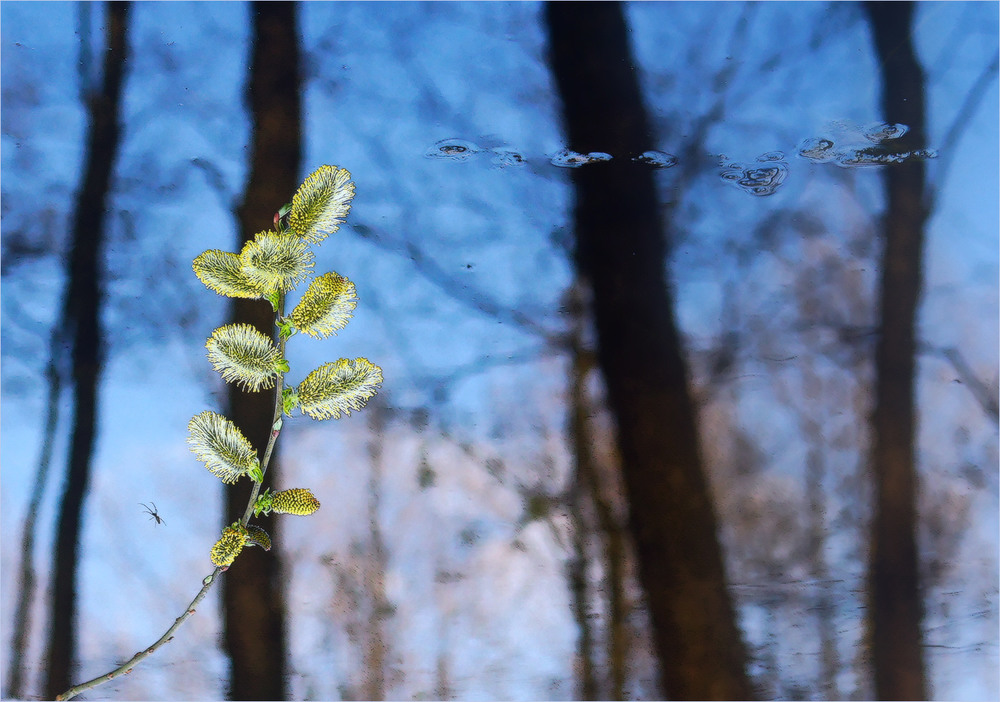 Фотографія Весна не за горами... / Evgeniy Nikitin / photographers.ua