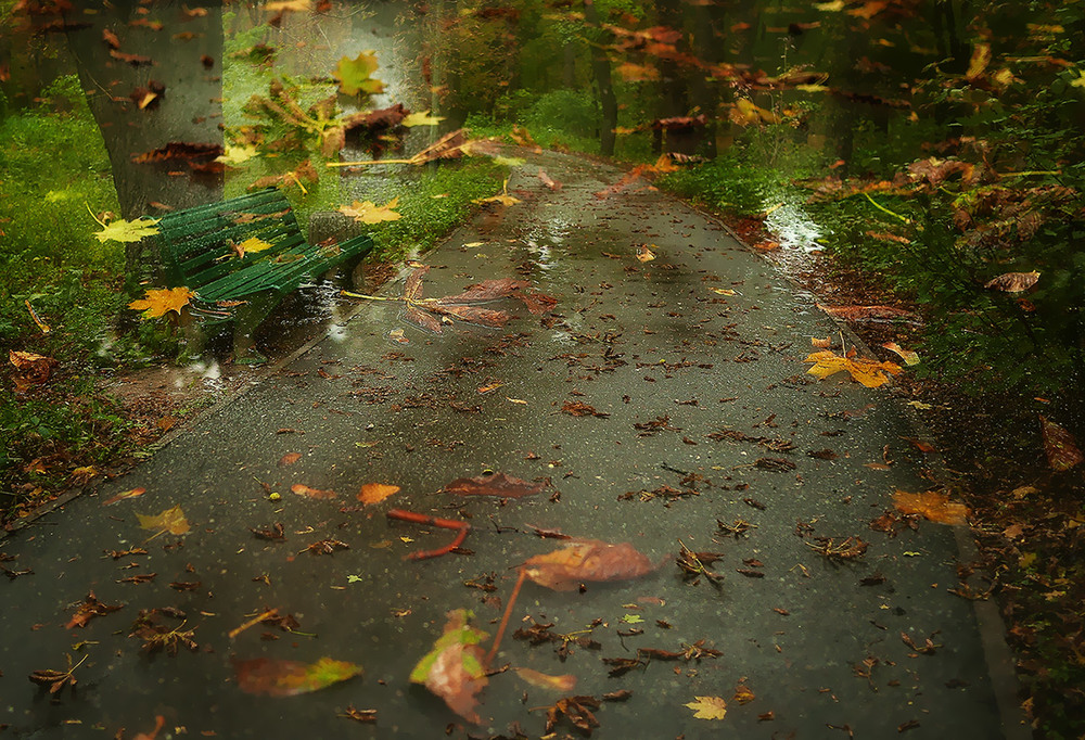 Фотографія Осень. Листопад... / Evgeniy Nikitin / photographers.ua