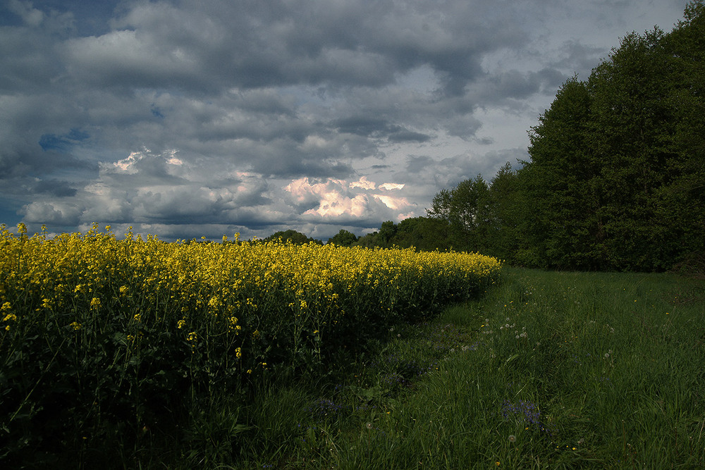 Фотографія *** / Evgeniy Nikitin / photographers.ua