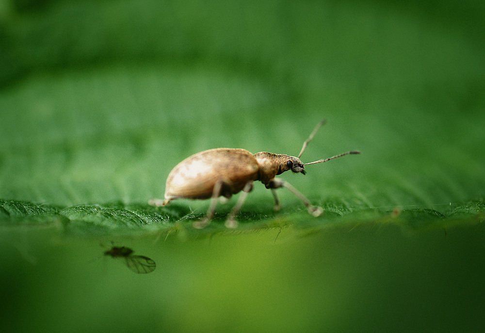 Фотографія two-way traffic... / Evgeniy Nikitin / photographers.ua