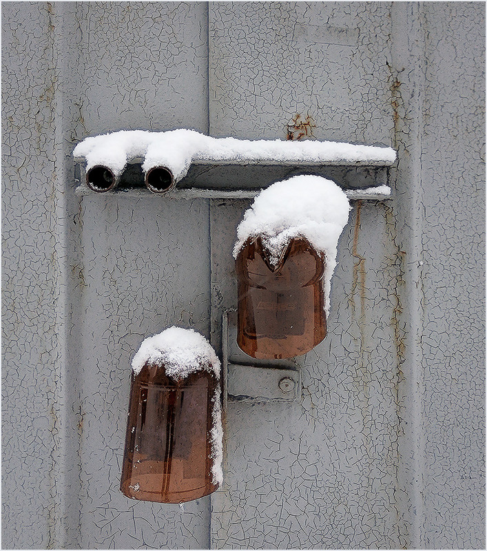 Фотографія Зимой, они особенно красивы... / Evgeniy Nikitin / photographers.ua