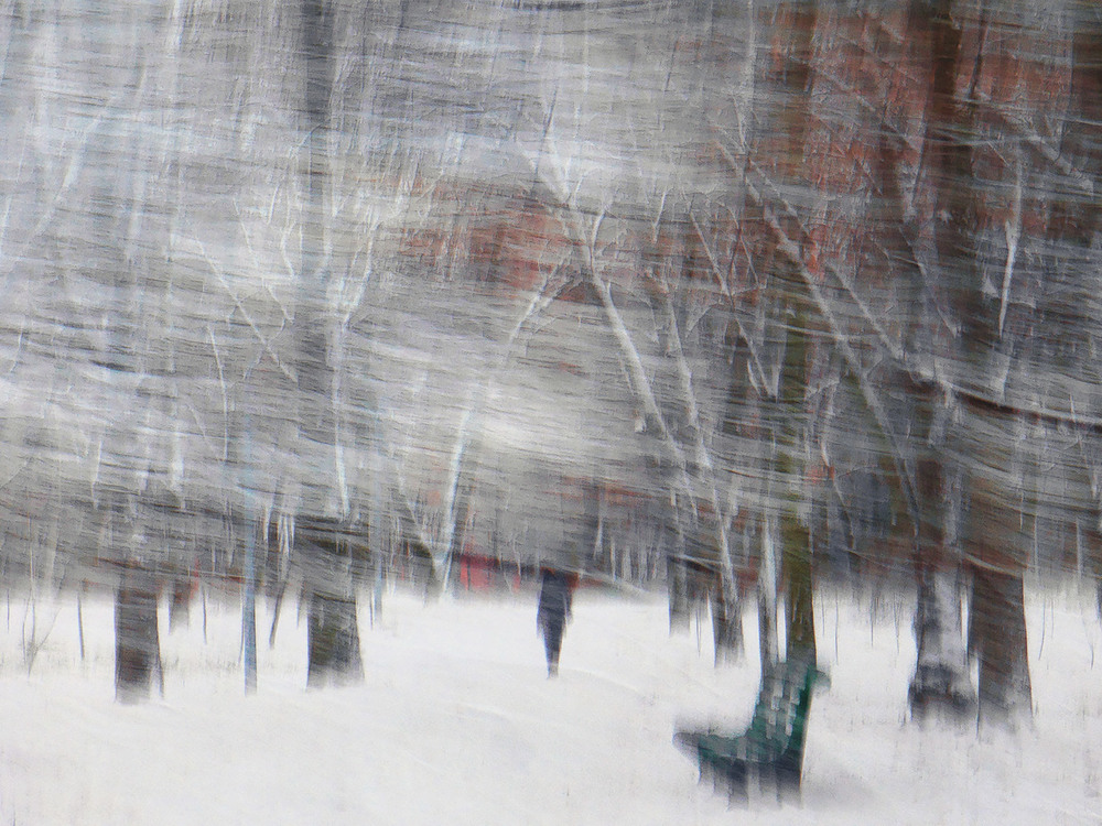 Фотографія заметает снегом... / Evgeniy Nikitin / photographers.ua