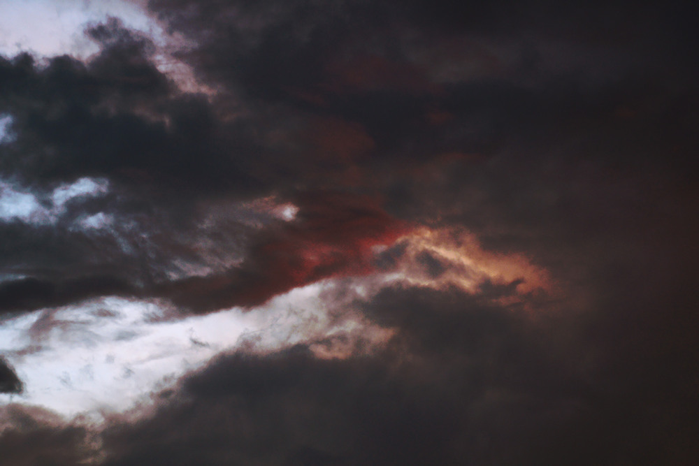 Фотографія *** / Evgeniy Nikitin / photographers.ua