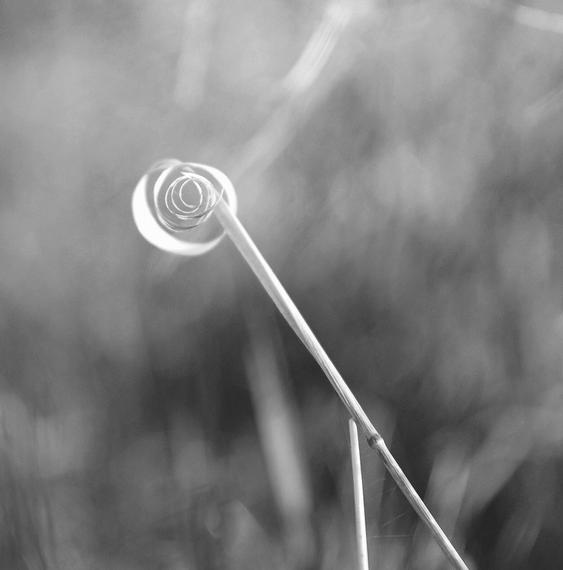 Фотографія Time loop... / Evgeniy Nikitin / photographers.ua