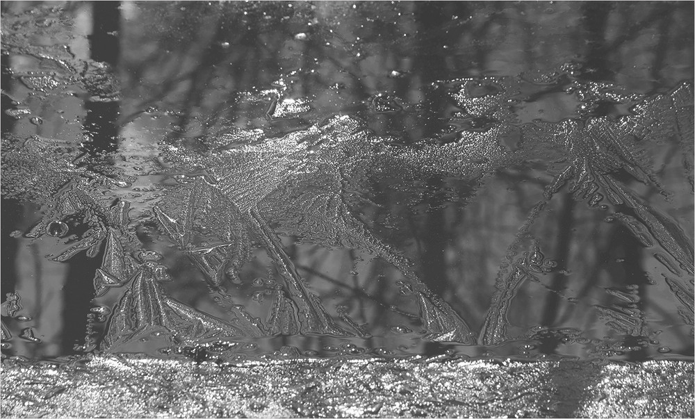 Фотографія *** / Evgeniy Nikitin / photographers.ua