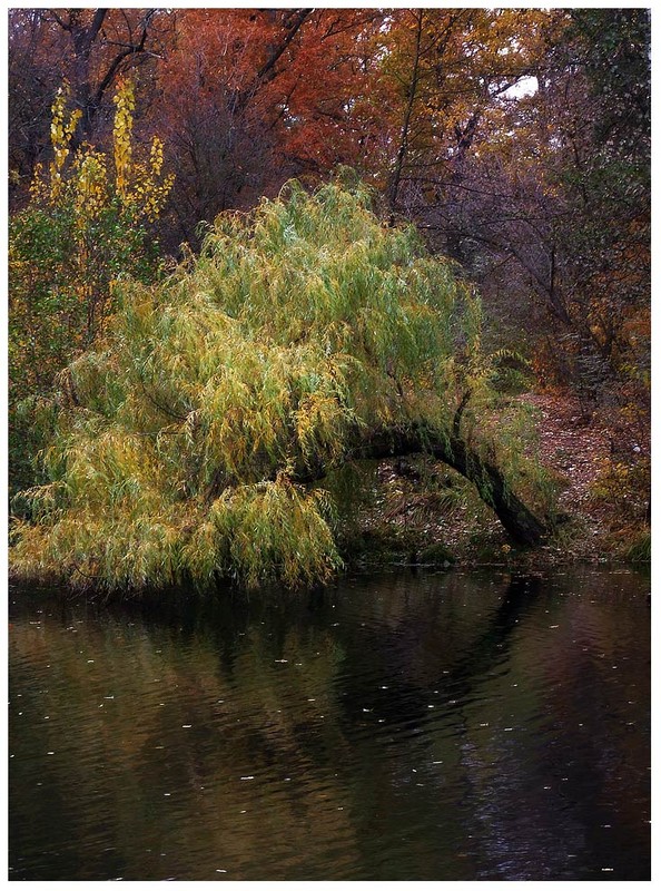 Фотографія *** / Evgeniy Nikitin / photographers.ua
