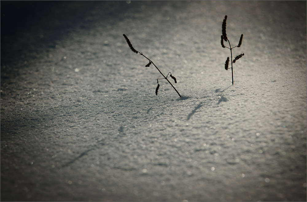 Фотографія сварка... / Evgeniy Nikitin / photographers.ua