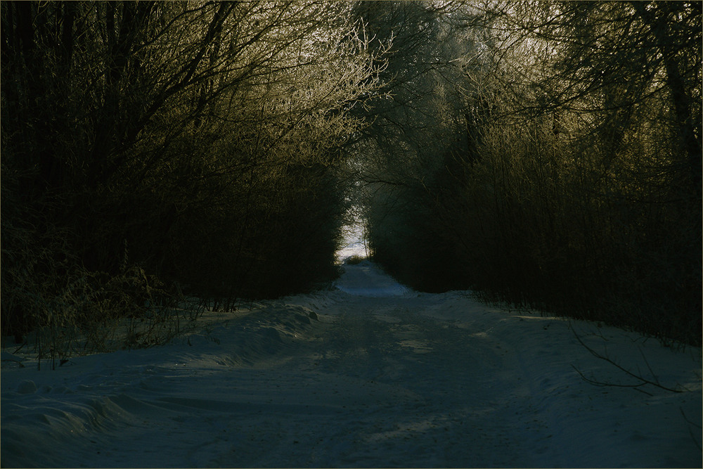 Фотографія *** / Evgeniy Nikitin / photographers.ua