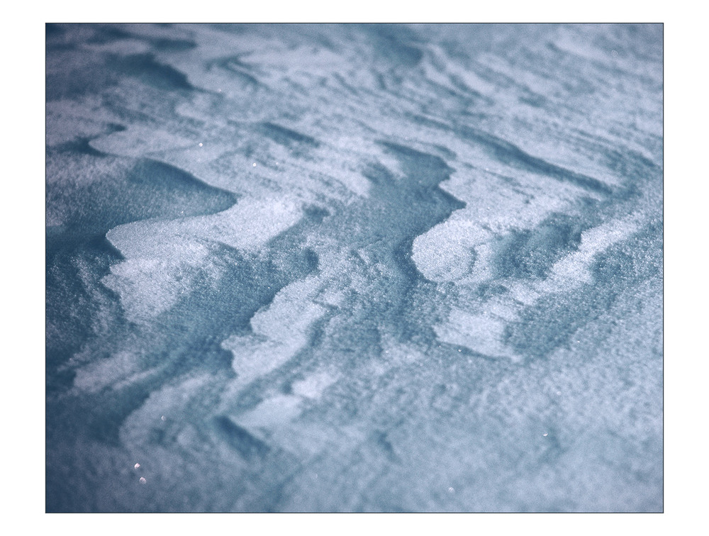 Фотографія *** / Evgeniy Nikitin / photographers.ua