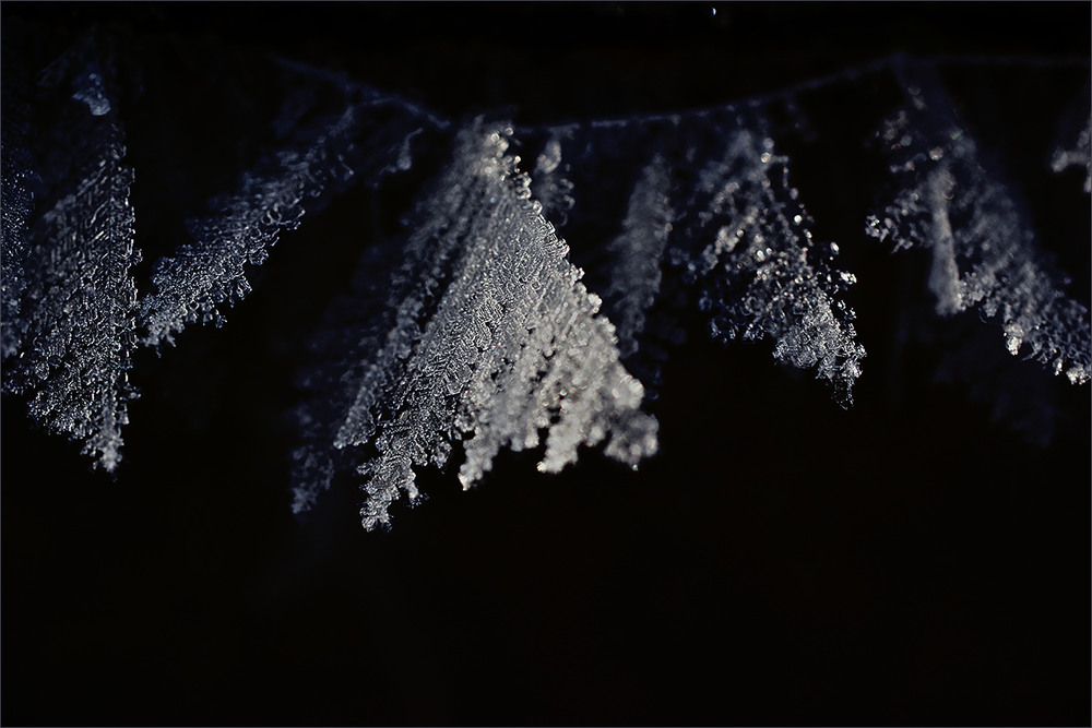 Фотографія *** / Evgeniy Nikitin / photographers.ua