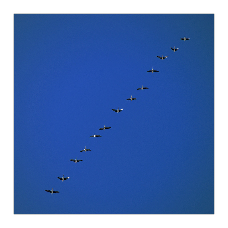 Фотографія *** / Evgeniy Nikitin / photographers.ua