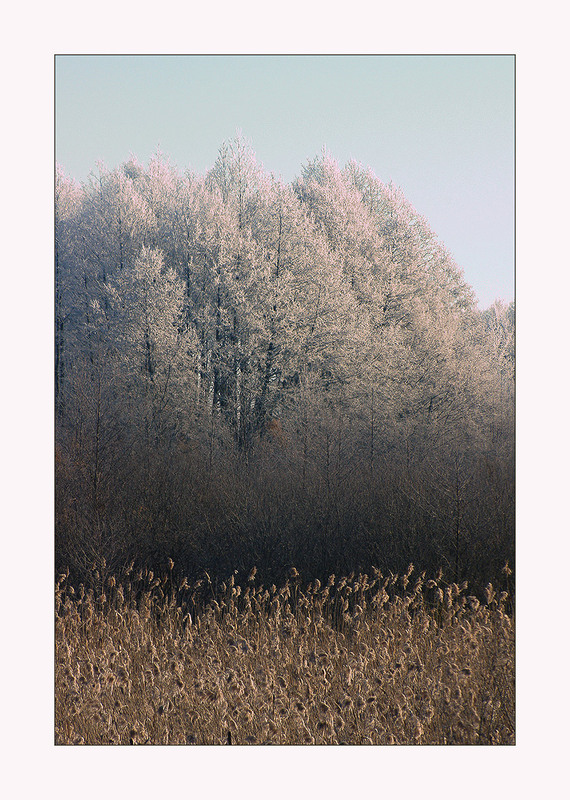 Фотографія Морозний ранок 26-го... / Evgeniy Nikitin / photographers.ua