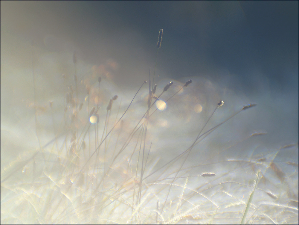 Фотографія *** / Evgeniy Nikitin / photographers.ua