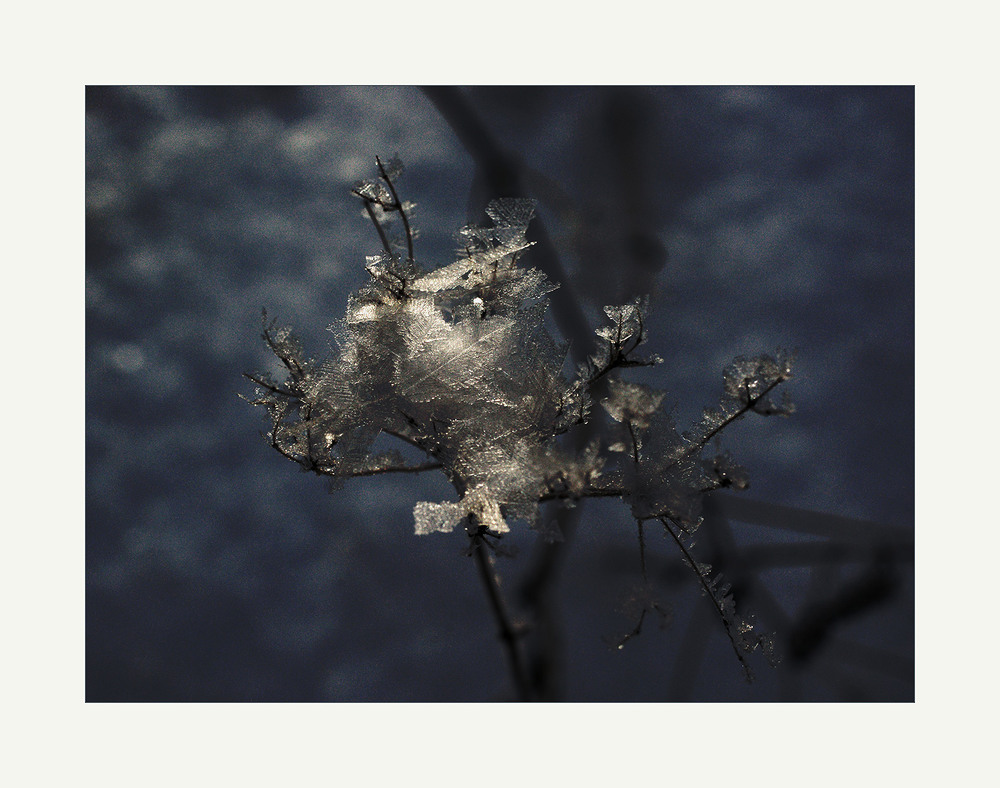 Фотографія *** / Evgeniy Nikitin / photographers.ua