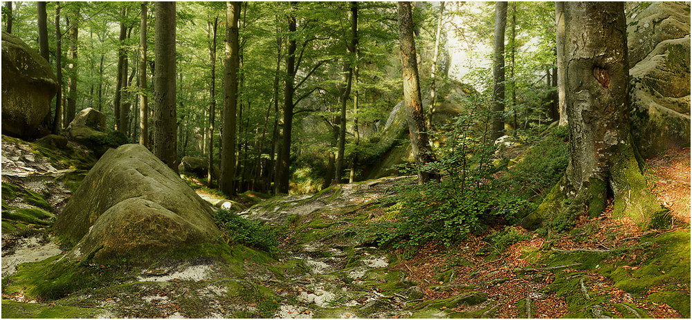 Фотографія *** / Evgeniy Nikitin / photographers.ua