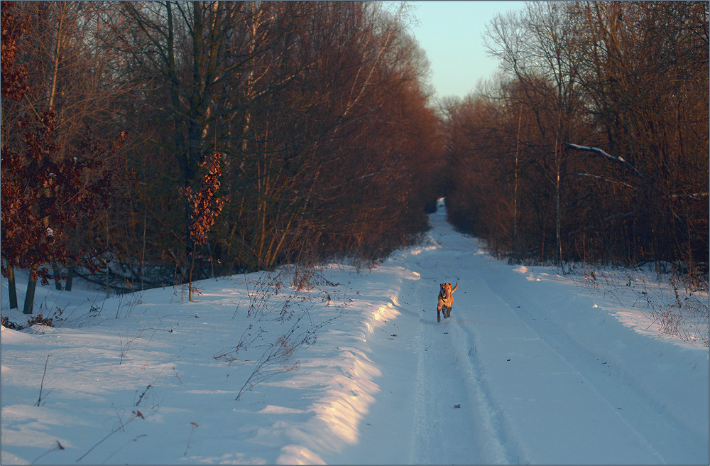 Фотографія *** / Evgeniy Nikitin / photographers.ua