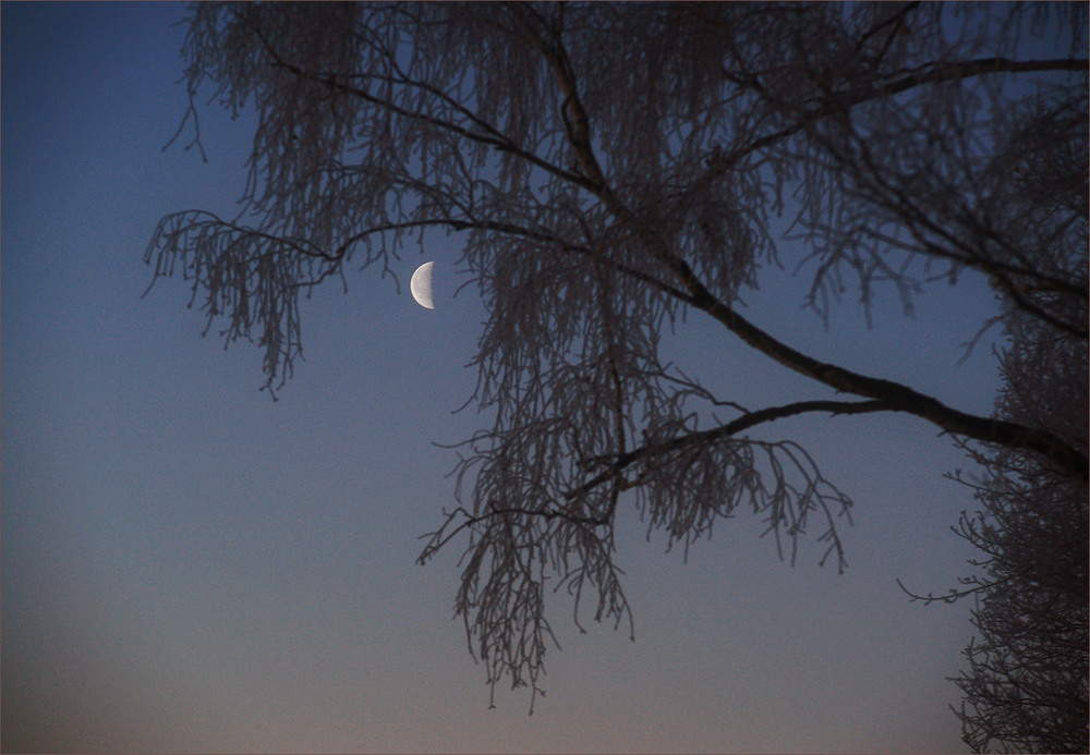 Фотографія *** / Evgeniy Nikitin / photographers.ua