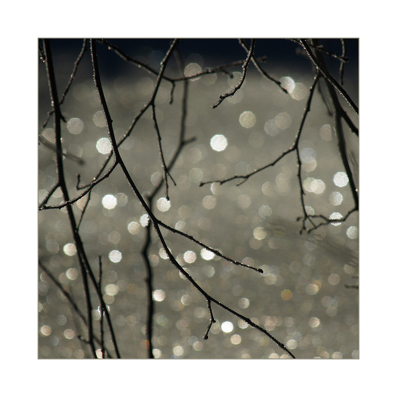 Фотографія майже чб... / Evgeniy Nikitin / photographers.ua