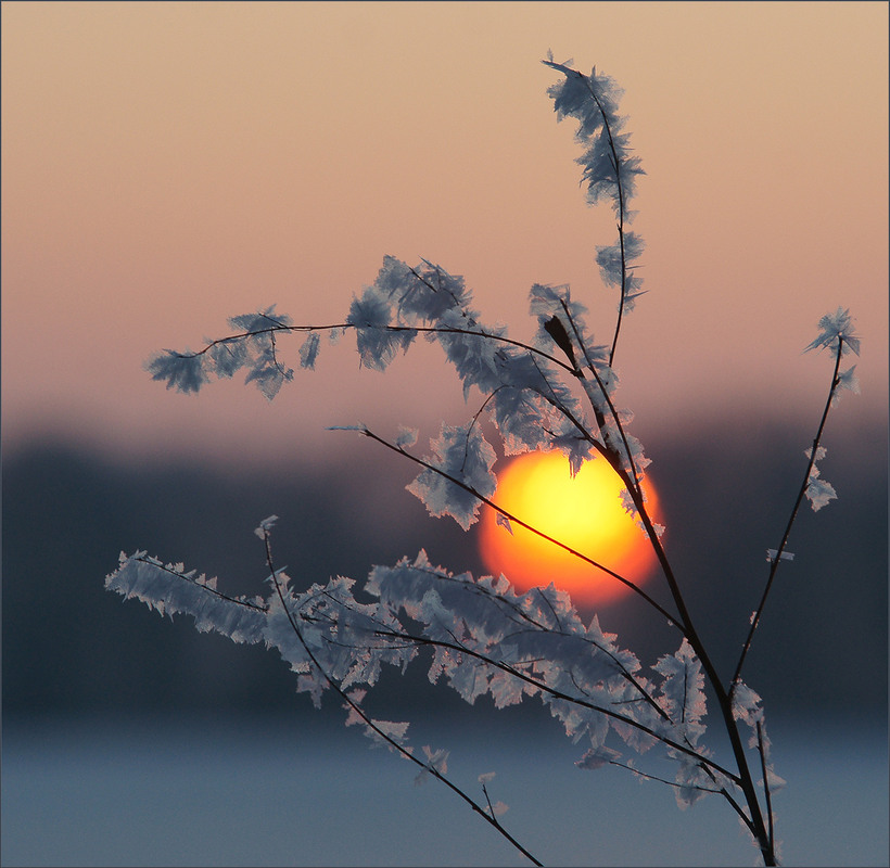 Фотографія *** / Evgeniy Nikitin / photographers.ua