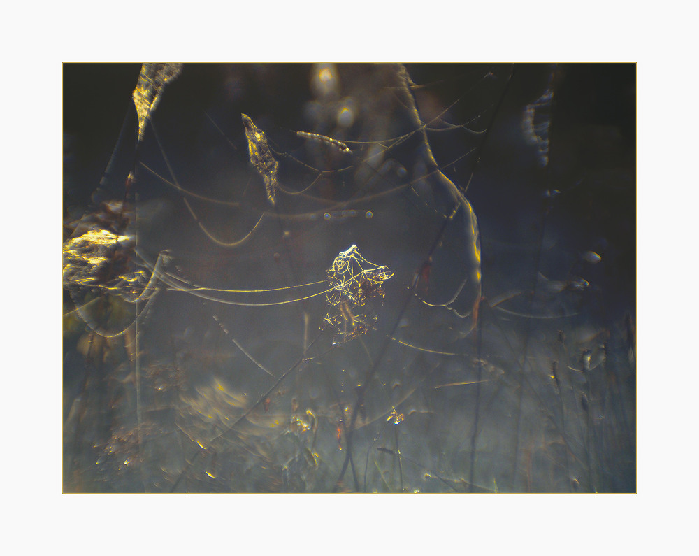 Фотографія Fantasy... / Evgeniy Nikitin / photographers.ua