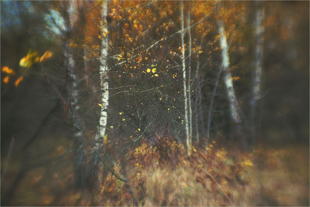 Фотографія *** / Evgeniy Nikitin / photographers.ua