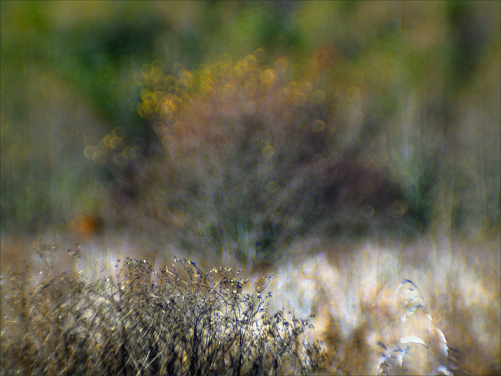 Фотографія трохи про осінь... / Evgeniy Nikitin / photographers.ua