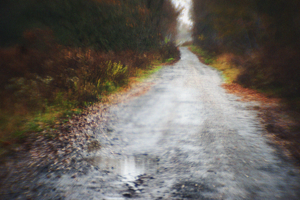 Фотографія *** / Evgeniy Nikitin / photographers.ua