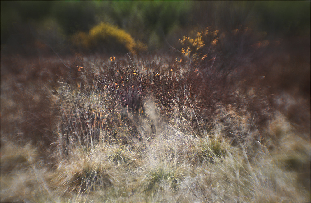 Фотографія *** / Evgeniy Nikitin / photographers.ua