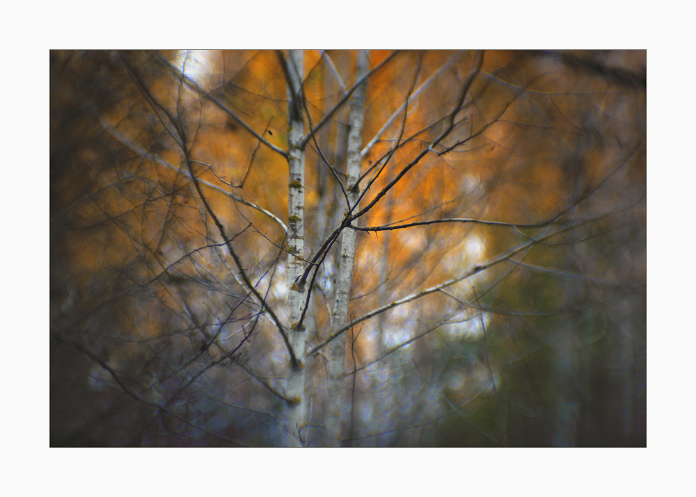 Фотографія *** / Evgeniy Nikitin / photographers.ua